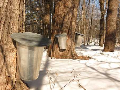 High Expectations Sugaring Season 2