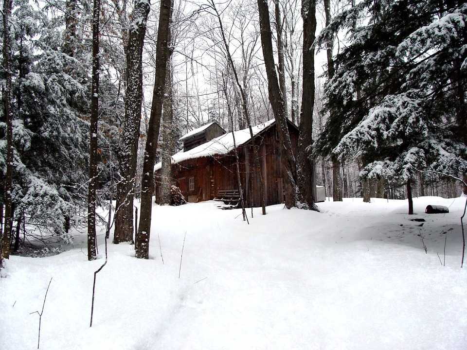 Maple syrup farming and sugaring